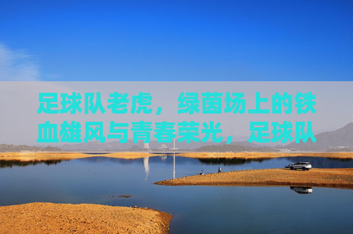 足球队老虎,绿茵场上的铁血雄风与青春荣光,足球队老虎,绿茵场上的铁血雄风与青春荣光