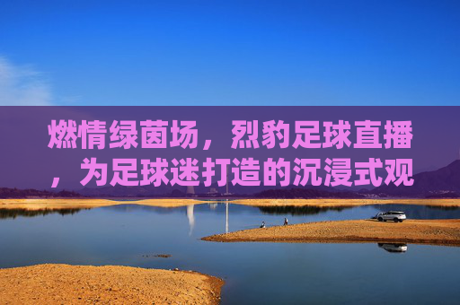 燃情绿茵场,烈豹足球直播,为足球迷打造的沉浸式观赛体验,燃情绿茵场,烈豹足球直播,为足球迷打造的沉浸式观赛体验