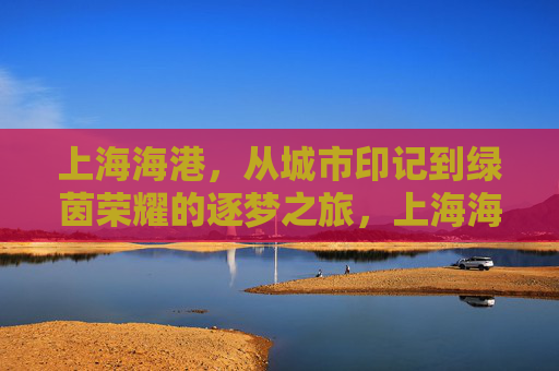 上海海港，从城市印记到绿茵荣耀的逐梦之旅，上海海港，从城市印记到绿茵荣耀的逐梦之旅