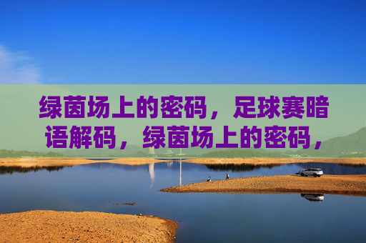 绿茵场上的密码,足球赛暗语解码,绿茵场上的密码,足球赛暗语解码