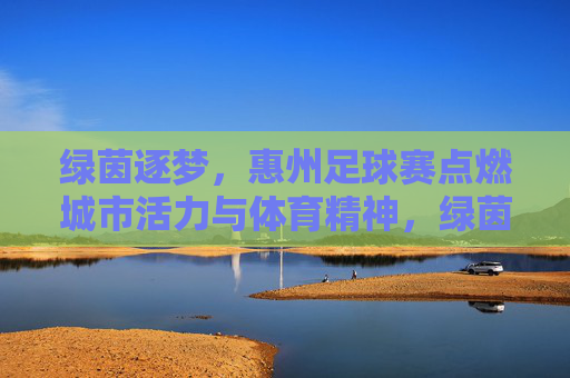 绿茵逐梦，惠州足球赛点燃城市活力与体育精神，绿茵逐梦，惠州足球赛点燃城市活力与体育精神