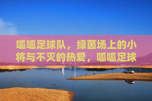 呱呱足球队,绿茵场上的小将与不灭的热爱,呱呱足球队,绿茵场上的小将与不灭的热爱