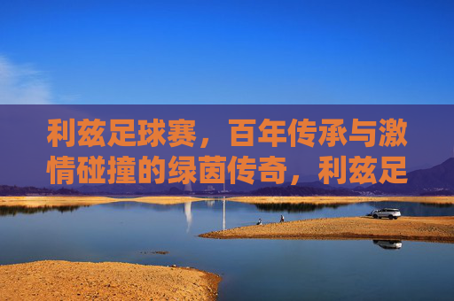 利兹足球赛，百年传承与激情碰撞的绿茵传奇，利兹足球赛，百年传承与激情碰撞的绿茵传奇