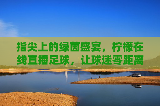 指尖上的绿茵盛宴,柠檬在线直播足球,让球迷零距离沉浸观赛,指尖上的绿茵盛宴,柠檬在线直播足球,让球迷零距离沉浸观赛