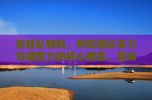 足球队物料，构筑团队实力与凝聚力的核心要素，足球队物料，构筑团队实力与凝聚力的核心要素