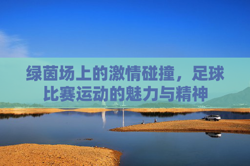 绿茵场上的激情碰撞,足球比赛运动的魅力与精神