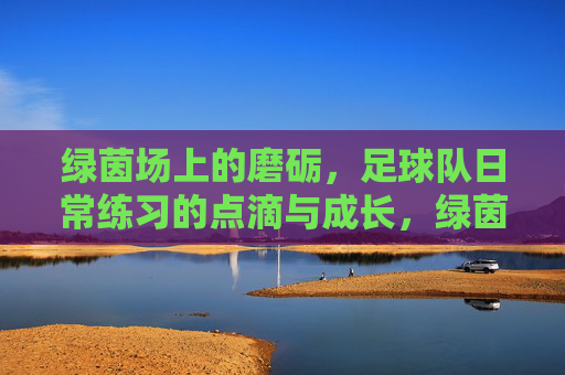 绿茵场上的磨砺，足球队日常练习的点滴与成长，绿茵场上的磨砺，足球队日常练习的点滴成长
