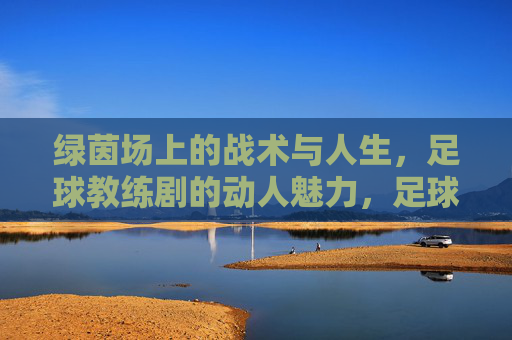 绿茵场上的战术与人生,足球教练剧的动人魅力,足球教练剧,战术与人生的交织,动人魅力的核心