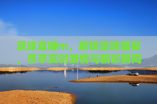 足球直播m,解锁足球盛宴,尽享实时激情与精彩瞬间