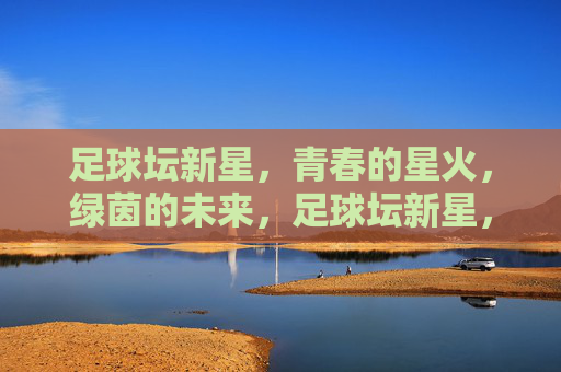足球坛新星，青春的星火，绿茵的未来，足球坛新星，青春的星火，绿茵的未来