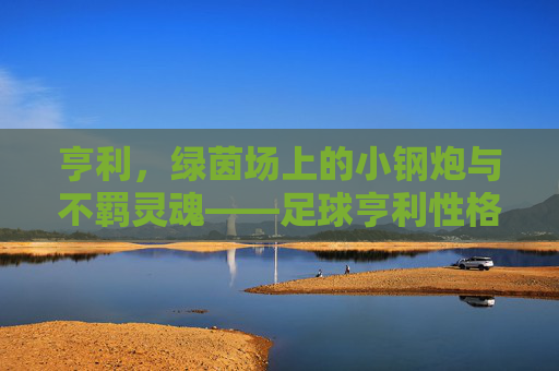 亨利,绿茵场上的小钢炮与不羁灵魂——足球亨利性格的深度解析,亨利,绿茵场上的小钢炮与不羁灵魂——足球亨利性格的深度解析