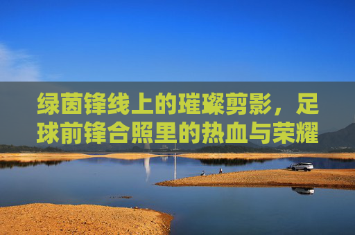 绿茵锋线上的璀璨剪影，足球前锋合照里的热血与荣耀，绿茵锋线上的璀璨剪影，足球前锋合照里的热血与荣耀