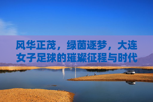 风华正茂,绿茵逐梦,大连女子足球的璀璨征程与时代荣光,风华正茂,绿茵逐梦,大连女子足球的璀璨征程与时代荣光
