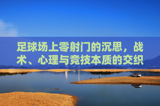 足球场上零射门的沉思,战术、心理与竞技本质的交织,足球场上零射门的沉思,战术、心理与竞技本质的交织