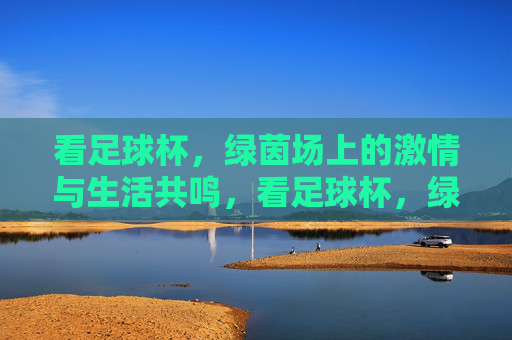 看足球杯，绿茵场上的激情与生活共鸣，看足球杯，绿茵场上的激情与生活共鸣