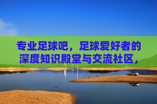 专业足球吧，足球爱好者的深度知识殿堂与交流社区，专业足球吧，足球爱好者的深度知识殿堂与交流社区