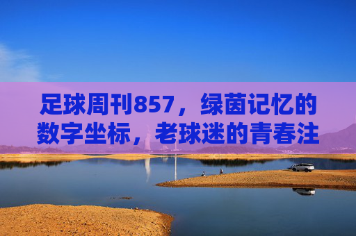 足球周刊857，绿茵记忆的数字坐标，老球迷的青春注脚，足球周刊857，绿茵记忆的数字坐标，老球迷的青春注脚