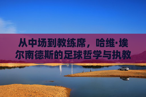 从中场到教练席，哈维·埃尔南德斯的足球哲学与执教传奇，从中场到教练席，哈维·埃尔南德斯的足球哲学与执教传奇