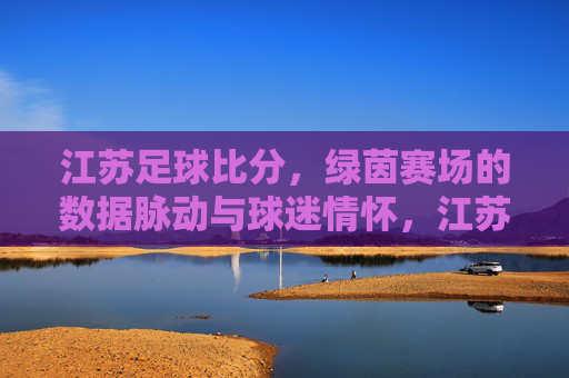 江苏足球比分,绿茵赛场的数据脉动与球迷情怀,江苏足球比分,绿茵赛场的数据脉动与球迷情怀