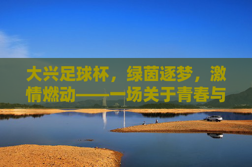 大兴足球杯，绿茵逐梦，激情燃动——一场关于青春与足球的盛会，大兴足球杯，绿茵逐梦，激情燃动——一场关于青春与足球的盛会