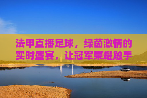 法甲直播足球，绿茵激情的实时盛宴，让冠军荣耀触手可及，法甲足球直播，绿茵激情的实时盛宴，让冠军荣耀触手可及