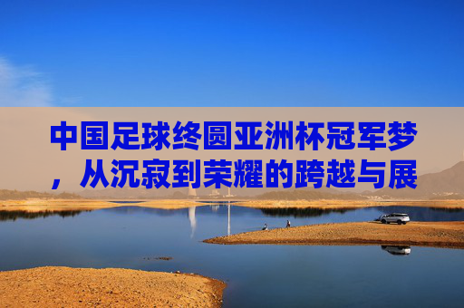 中国足球终圆亚洲杯冠军梦,从沉寂到荣耀的跨越与展望