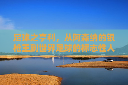 足球之亨利,从阿森纳的银枪王到世界足球的标志性人物