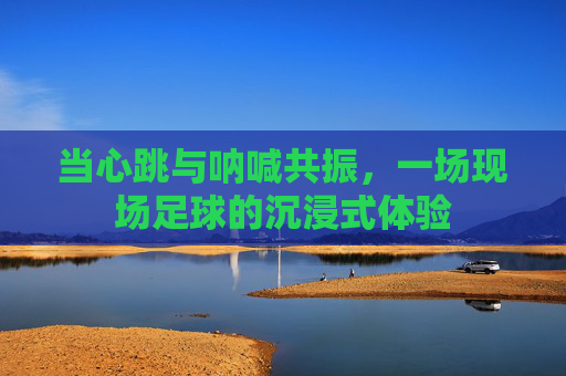 当心跳与呐喊共振,一场现场足球的沉浸式体验