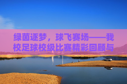 绿茵逐梦,球飞赛场——我校足球校级比赛精彩回顾与感悟