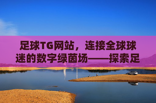 足球TG网站，连接全球球迷的数字绿茵场——探索足坛资讯、互动与社群的新生态
