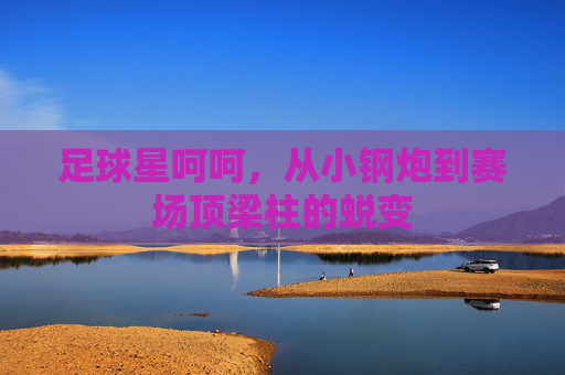 足球星呵呵,从小钢炮到赛场顶梁柱的蜕变