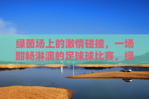 绿茵场上的激情碰撞，一场酣畅淋漓的足球球比赛，绿茵场上的激情碰撞，一场酣畅淋漓的足球对决