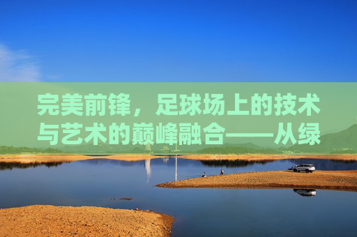 完美前锋,足球场上的技术与艺术的巅峰融合——从绿茵的奔跑到进球的永恒瞬间,完美前锋,足球场上的技术与艺术的巅峰融合——从绿茵的奔跑到进球的永恒瞬间