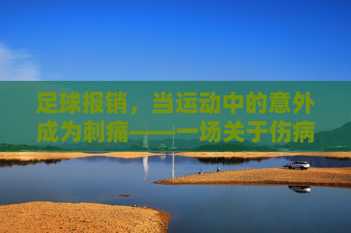 足球报销,当运动中的意外成为刺痛——一场关于伤病与职业责任的思考,足球报销,当运动中的意外成为刺痛——一场关于伤病与职业责任的思考