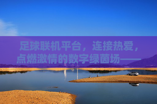 足球联机平台,连接热爱,点燃激情的数字绿茵场——数字时代下的足球体验新范式