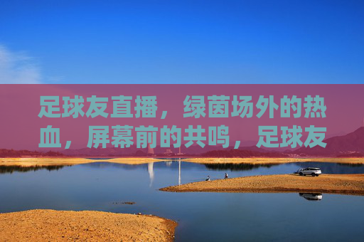 足球友直播，绿茵场外的热血，屏幕前的共鸣，足球友直播，绿茵场外的热血与屏幕前的共鸣