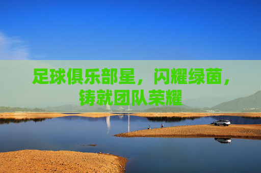 足球俱乐部星,闪耀绿茵,铸就团队荣耀