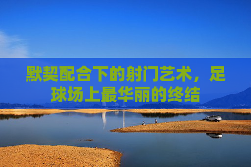 默契配合下的射门艺术,足球场上最华丽的终结