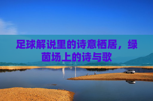 足球解说里的诗意栖居,绿茵场上的诗与歌