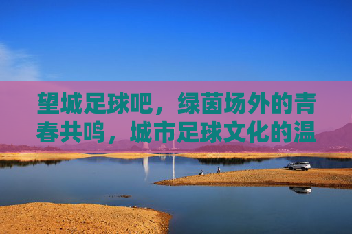 望城足球吧,绿茵场外的青春共鸣,城市足球文化的温度坐标,望城足球吧,绿茵场外的青春共鸣,城市足球文化的温度坐标