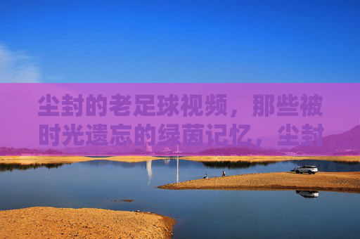 尘封的老足球视频，那些被时光遗忘的绿茵记忆，尘封的老足球视频，那些被时光遗忘的绿茵记忆
