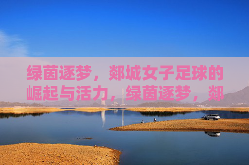 绿茵逐梦，郯城女子足球的崛起与活力，绿茵逐梦，郯城女子足球的崛起与活力