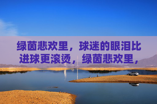 绿茵悲欢里,球迷的眼泪比进球更滚烫,绿茵悲欢里,球迷的眼泪比进球更滚烫