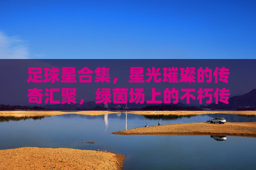 足球星合集,星光璀璨的传奇汇聚,绿茵场上的不朽传奇与未来新星,足球星传奇汇聚,不朽传奇与未来新星闪耀绿茵场的星光璀璨