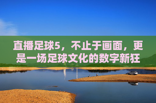 直播足球5,不止于画面,更是一场足球文化的数字新狂欢