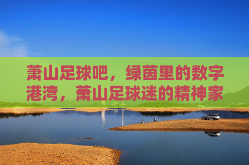 萧山足球吧,绿茵里的数字港湾,萧山足球迷的精神家园,萧山足球吧,绿茵里的数字港湾,萧山足球迷的精神家园