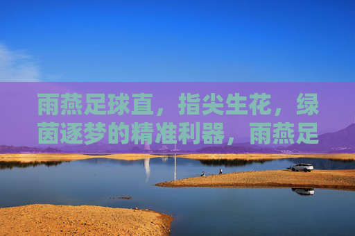 雨燕足球直,指尖生花,绿茵逐梦的精准利器,雨燕足球直,指尖生花,绿茵逐梦的精准利器