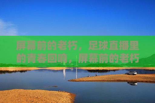 屏幕前的老朽，足球直播里的青春回响，屏幕前的老朽，足球直播里的青春回响