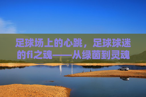 足球场上的心跳,足球球迷的fi之魂——从绿茵到灵魂的共鸣,足球场上的心跳,足球球迷的fi之魂——从绿茵到灵魂的共鸣