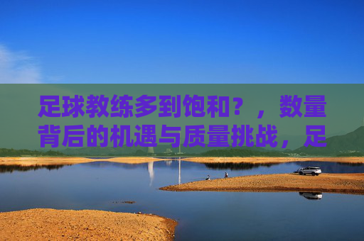 足球教练多到饱和?,数量背后的机遇与质量挑战,足球教练饱和现状,数量背后的机遇与质量挑战